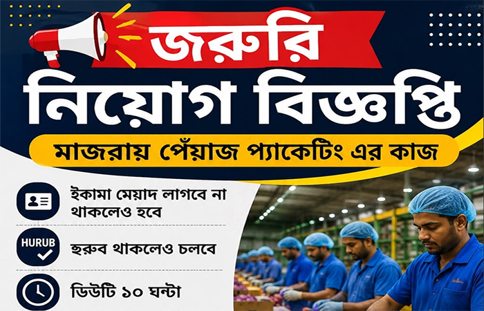 Onion Packaging Workers in Turaif,